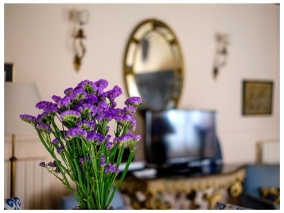 Holiday apartment Casa dell'Albero - Features photo 20