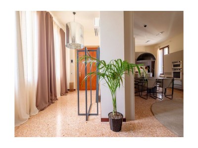 Holiday apartment Ca' Garzoni Moro - SALINA - Features photo 12