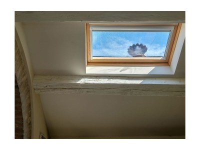 Holiday apartment Attico terrazza - Features photo 17