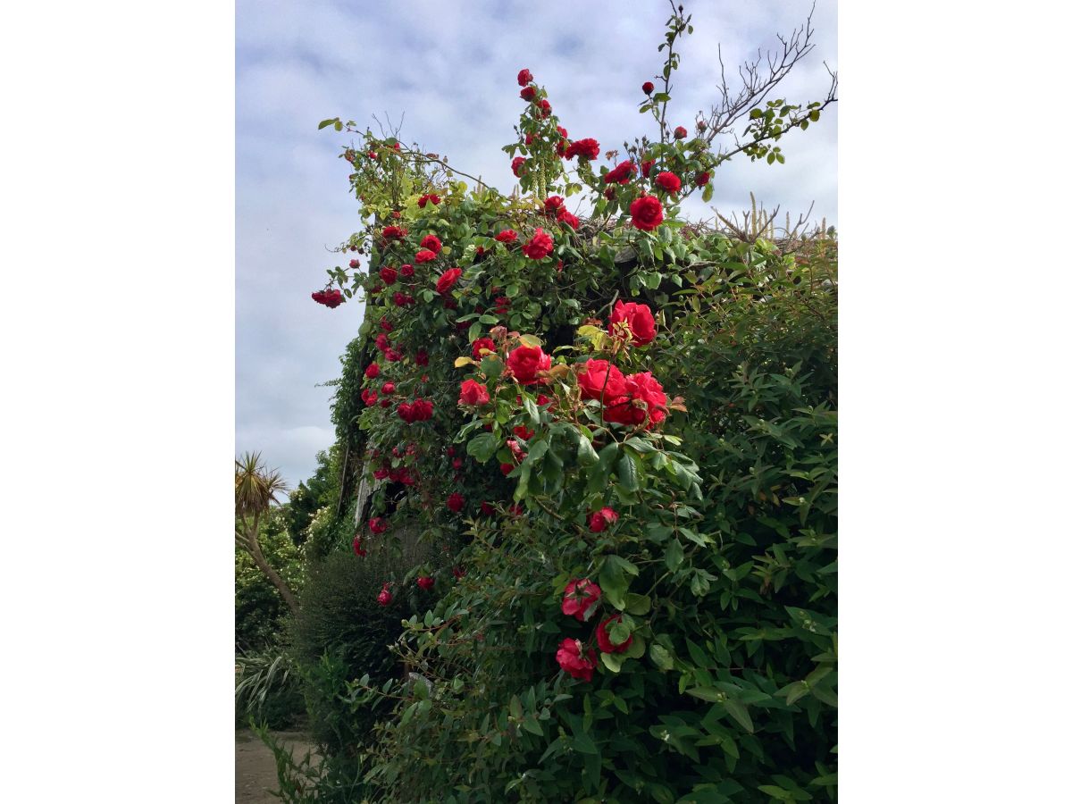 Holiday house Ty Boz - Outdoor photo 5