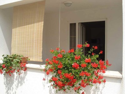 Holiday apartment Sonja, Porec - Outdoor photo 8