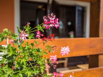 Holiday house Sejdi with private pool - Environment photo 21