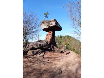 Holiday apartment Ferienwohnung Monte Noble Südpfalz - Environment photo 16