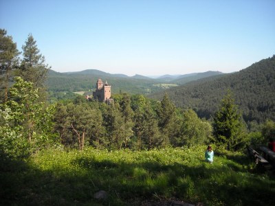 Holiday apartment Ferienwohnung Monte Noble Südpfalz - Environment photo 17