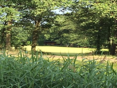 Holiday house Holiday Home in Reutum with Bubble Bath - Outdoor photo 6