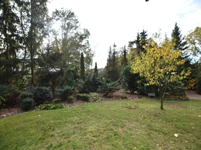 Holiday house Holiday Home in Reutum with Bubble Bath - Outdoor photo 8