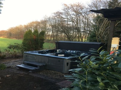 Holiday house Holiday Home in Reutum with Bubble Bath - Outdoor photo 37