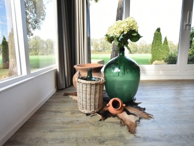 Holiday house Holiday Home in Reutum with Bubble Bath - Outdoor photo 38