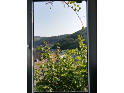 Holiday house Hartmanns Hütte - Outdoor photo 8