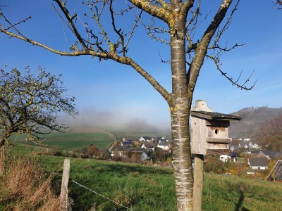 Holiday house Hartmanns Hütte - Environment photo 21