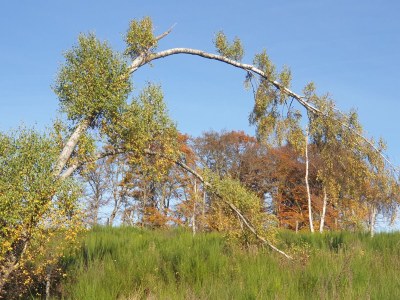 Holiday house Hartmanns Hütte - Environment photo 22