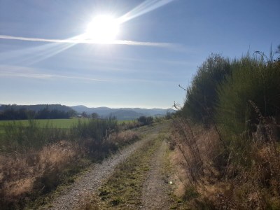 Holiday house Hartmanns Hütte - Environment photo 23