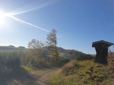 Holiday house Hartmanns Hütte - Environment photo 24