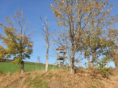 Holiday house Hartmanns Hütte - Environment photo 25
