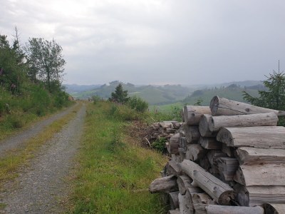 Holiday house Hartmanns Hütte - Environment photo 26