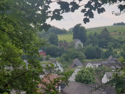 Holiday house Hartmanns Hütte - Environment photo 30