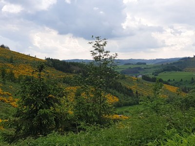 Holiday house Hartmanns Hütte - Environment photo 34