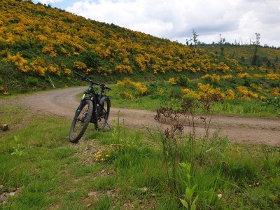 Holiday house Hartmanns Hütte - Environment photo 35