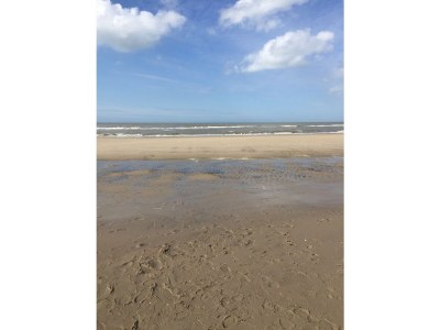 Holiday house Finger - Environment photo 35