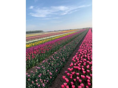 Holiday house Finger - Environment photo 36