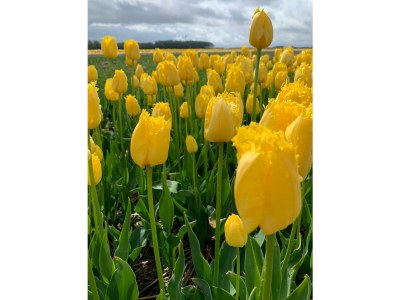 Holiday house Finger - Environment photo 37