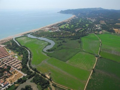 Holiday house Villa in Santa Cristina near Beaches & Pool - Environment photo 27