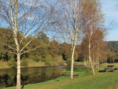 Holiday house Saint-Quirin Gartenaufenthalt - Environment photo 32