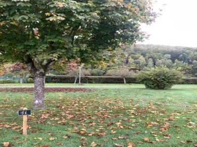 Holiday house Saint-Quirin Gartenaufenthalt - Environment photo 36