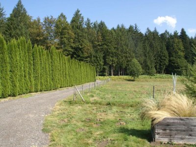 Holiday house Saint-Quirin Gartenaufenthalt - Environment photo 37