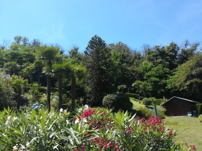 Holiday house Tusculum Germignaga - Outdoor photo 12