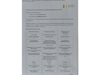 Holiday house Tusculum Germignaga - Document photo 39