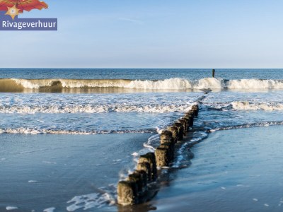 Holiday apartment Rivageverhuur - Environment photo 13