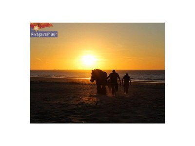 Holiday apartment Rivageverhuur - Environment photo 17