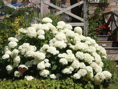 Holiday apartment in the May'r House 1794 - Outdoor photo 23