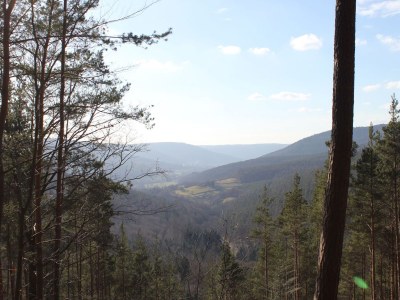 Holiday apartment in the May'r House 1794 - Environment photo 31