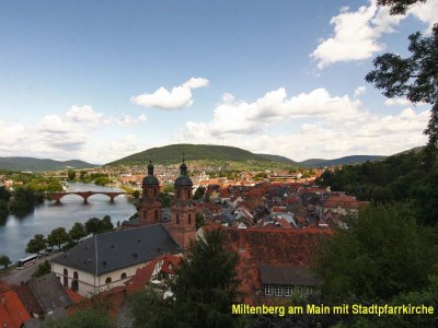 Holiday apartment in the May'r House 1794 - Environment photo 33