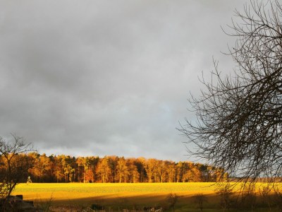 Holiday apartment in the May'r House 1794 - Document photo 44