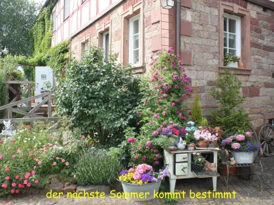 Holiday apartment in the May'r House 1794 - Document photo 46