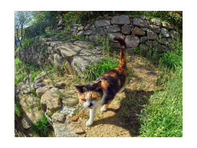 Holiday apartment Casa Cinque Colori - Environment photo 20