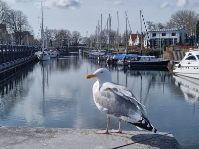 Holiday house Seagull - Environment photo 19