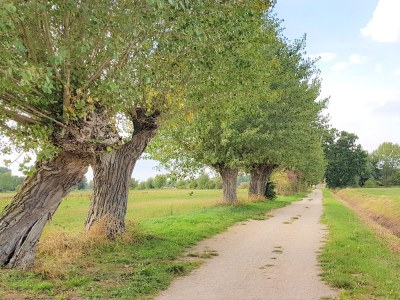 Holiday apartment Bernstein 2 - Environment photo 19