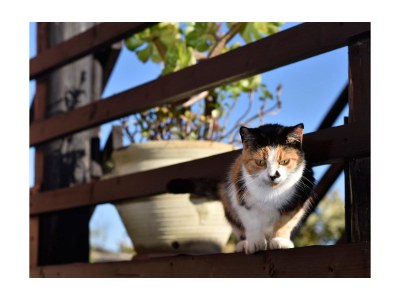 Holiday house Il Piccolo Fiore - Outdoor photo 8