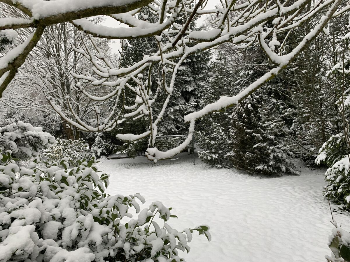 Holiday house Harzhaus Auszeit - Outdoor photo 2