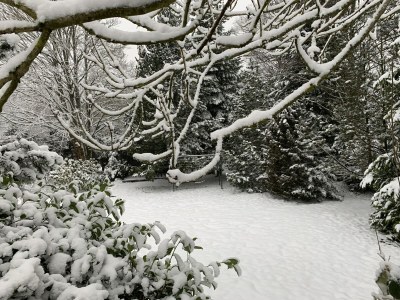 Holiday house Harzhaus Auszeit - Outdoor photo 2