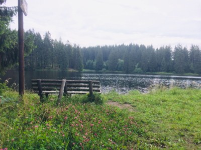 Holiday house Harzhaus Auszeit - Environment photo 28