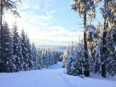 Holiday house Harzhaus Auszeit - Environment photo 30