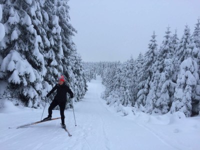 Holiday house Harzhaus Auszeit - Environment photo 31