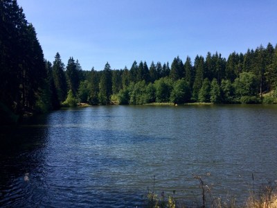 Holiday house Harzhaus Auszeit - Environment photo 33