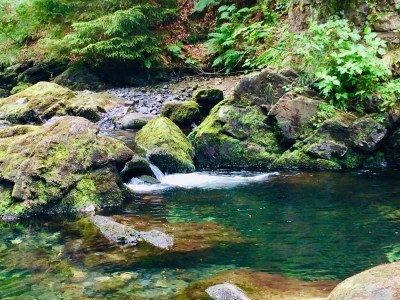 Holiday house Harzhaus Auszeit - Environment photo 34