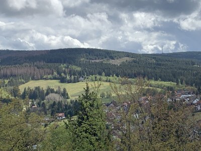 Holiday house Harzhaus Auszeit - Environment photo 36